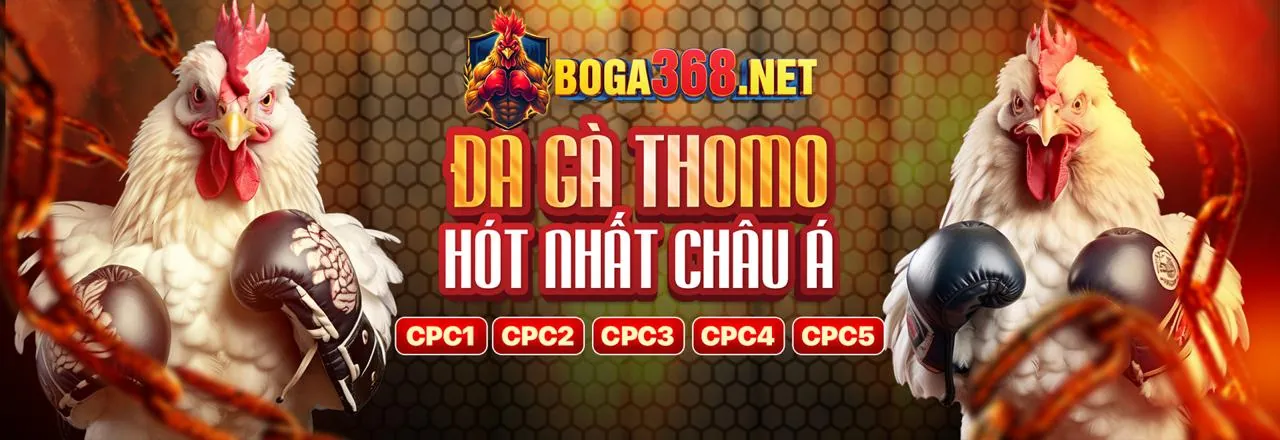 Đá gà trực tuyến EUBET chính thức 2026